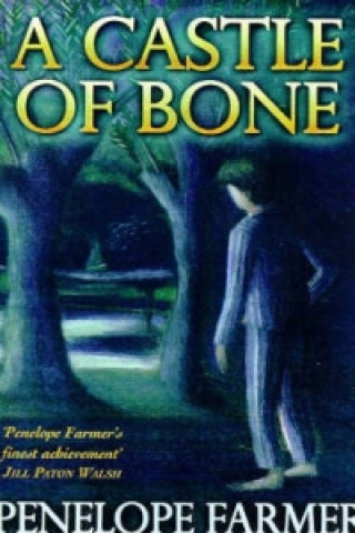 Könyv Castle Of Bone Penelope Farmer