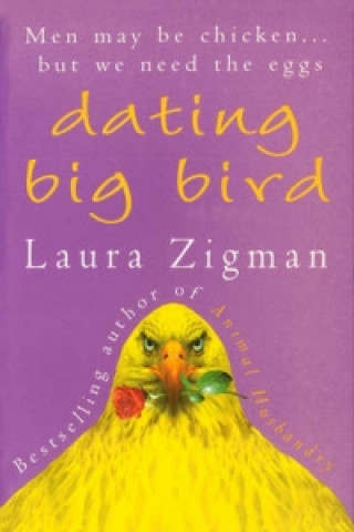 Książka Dating Big Bird Laura Zigman