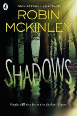 Carte Shadows Robin McKinley