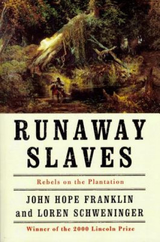 Carte Runaway Slaves Loren Schweninger