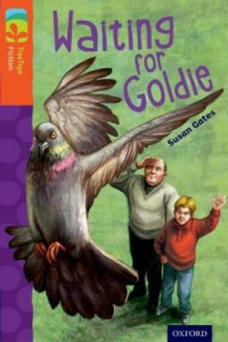 Book Oxford Reading Tree TreeTops Fiction: Level 13: Waiting for Goldie Susan Gates