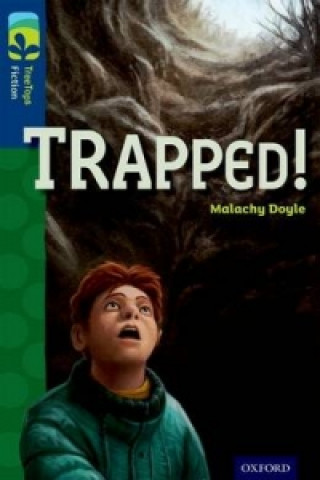 Carte Oxford Reading Tree TreeTops Fiction: Level 14 More Pack A: Trapped! Malachy Doyle