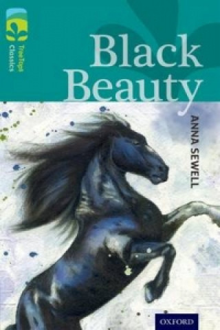 Kniha Oxford Reading Tree TreeTops Classics: Level 16: Black Beauty Anna Sewell