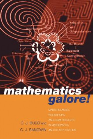 Buch Mathematics Galore! Christopher Budd