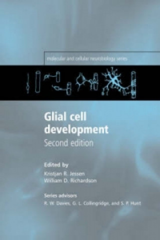 Knjiga Glial Cell Development Kristjan R. Jessen