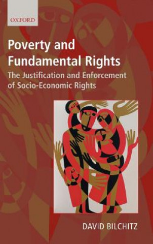 Buch Poverty and Fundamental Rights Bilchitz