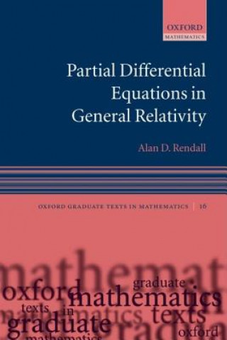 Книга Partial Differential Equations in General Relativity Alan Rendall