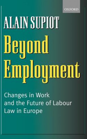 Kniha Beyond Employment Pamela Meadows