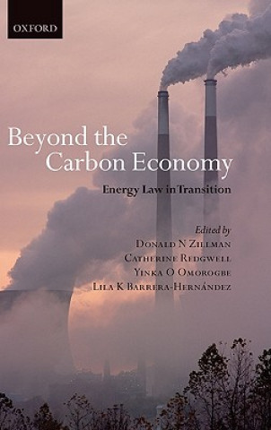 Βιβλίο Beyond the Carbon Economy Donald N. Zillman