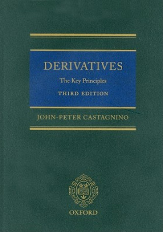 Книга Derivatives John-Peter Castagnino