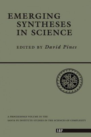 Книга Emerging Syntheses In Science D. Pines