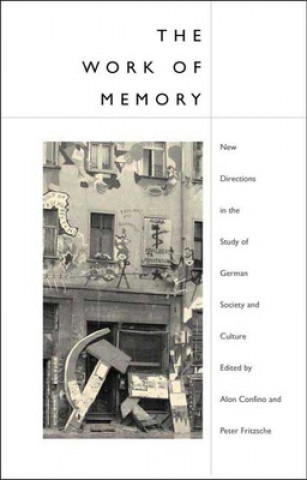 Kniha Work of Memory Peter Fritzsche