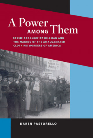 Book Power Among Them Karen Pastorello