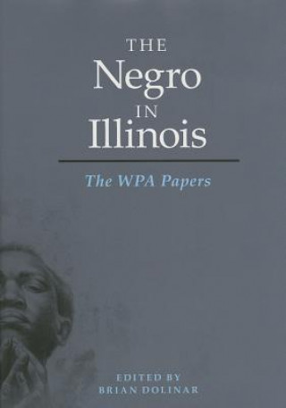 Könyv Negro in Illinois 