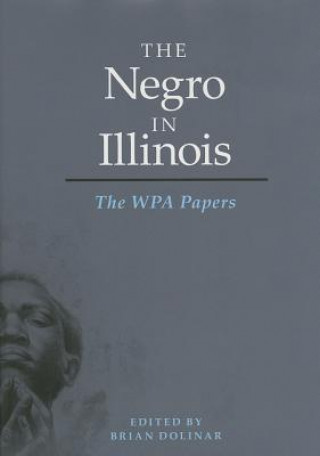 Book Negro in Illinois 