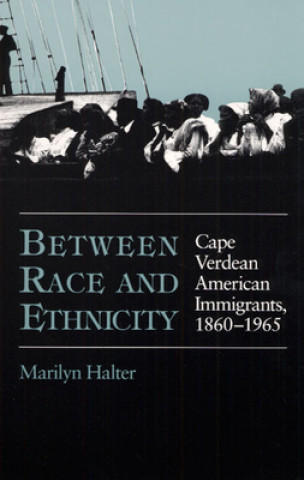 Kniha Between Race and Ethnicity Marilyn Halter