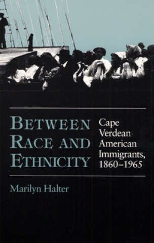 Βιβλίο Between Race and Ethnicity Marilyn Halter