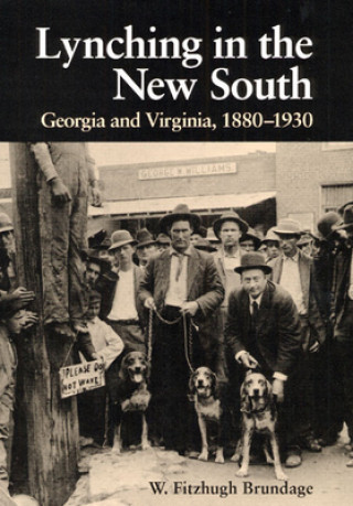 Könyv Lynching in the New South W. Fitzhugh Brundage