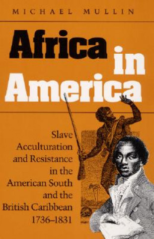 Book Africa in America Michael Mullin