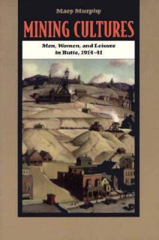 Könyv Mining Cultures Mary Murphy