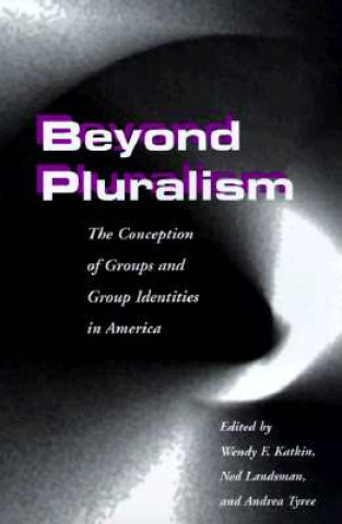 Knjiga Beyond Pluralism Wendy F Katkin
