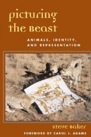 Könyv Picturing the Beast Steve Baker