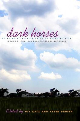 Buch Dark Horses Joy Katz