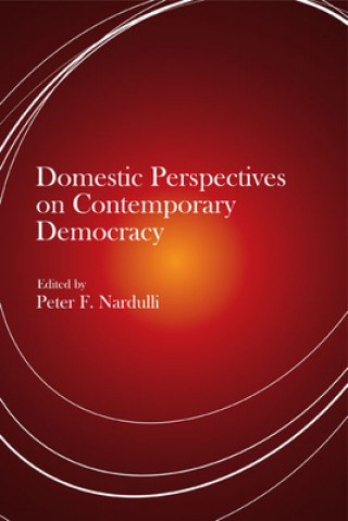 Book Domestic Perspectives on Contemporary Democracy 