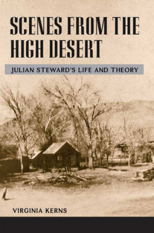 Buch Scenes from the High Desert Virginia Kerns