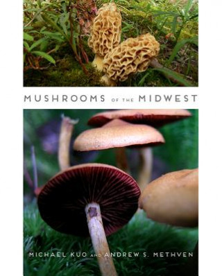 Knjiga Mushrooms of the Midwest Andrew S. Methven