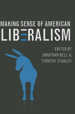 Kniha Making Sense of American Liberalism 