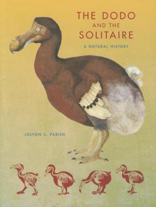 Kniha Dodo and the Solitaire Jolyon C. Parish