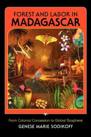 Carte Forest and Labor in Madagascar Genese Marie Sodikoff
