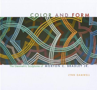 Knjiga Color and Form Lynn Gamwell