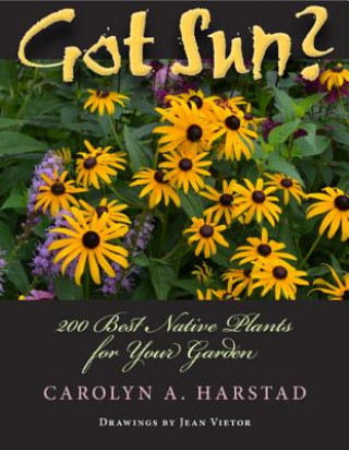 Knjiga Got Sun? Carolyn A. Harstad