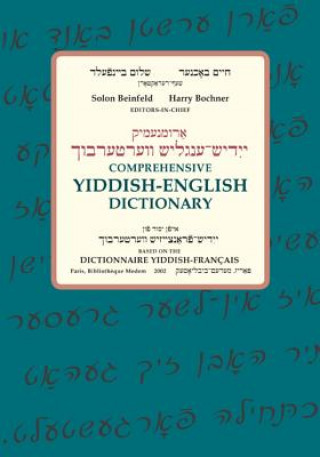 Carte Comprehensive Yiddish-English Dictionary Solon Beinfeld