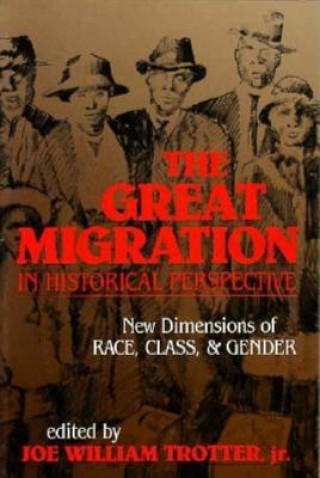 Buch Great Migration in Historical Perspective 