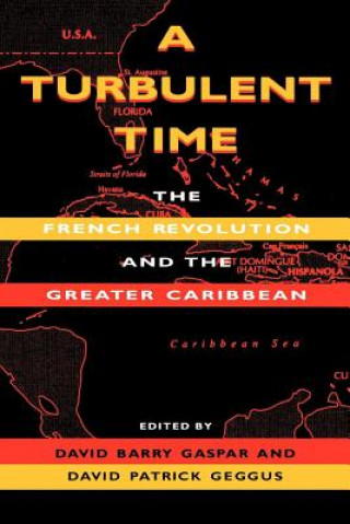 Libro Turbulent Time David Barry Gaspar