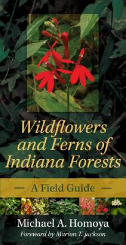 Книга Wildflowers and Ferns of Indiana Forests Michael A. Homoya