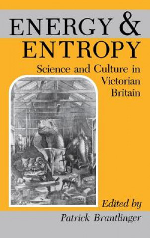 Книга Energy and Entropy Patrick Brantlinger