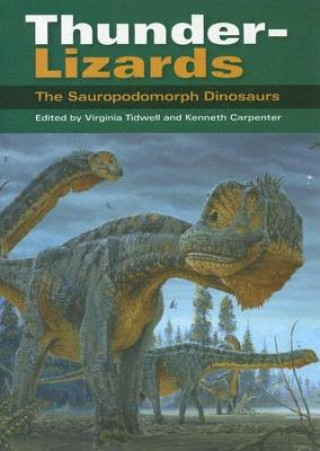 Könyv Thunder-Lizards Virginia Tidwell