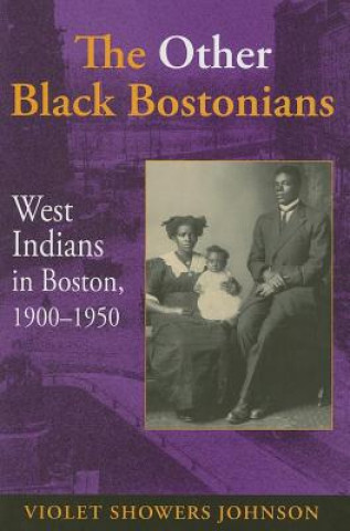 Knjiga Other Black Bostonians Violet M. Johnson