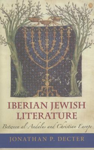 Könyv Iberian Jewish Literature Jonathan P. Decter