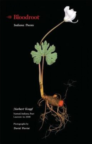 Book Bloodroot Norbert Krapf