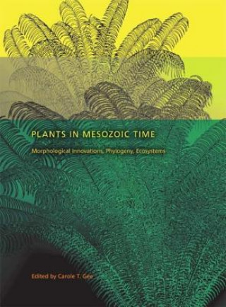 Knjiga Plants in Mesozoic Time Carole T Gee