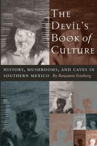 Kniha The Devil's Book of Culture Benjamin Feinberg