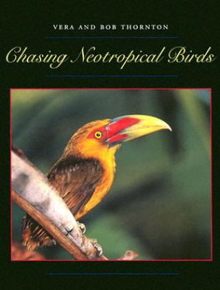 Livre Chasing Neotropical Birds Bob Thornton