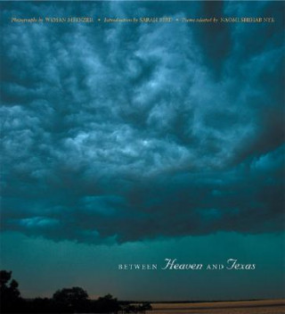 Livre Between Heaven and Texas Wyman Meinzer