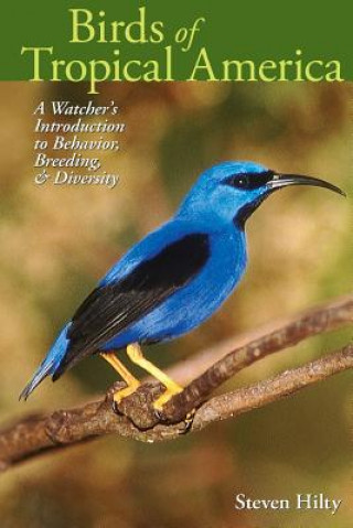 Kniha Birds of Tropical America Steven L. Hilty