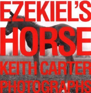 Kniha Ezekiel's Horse Keith Carter